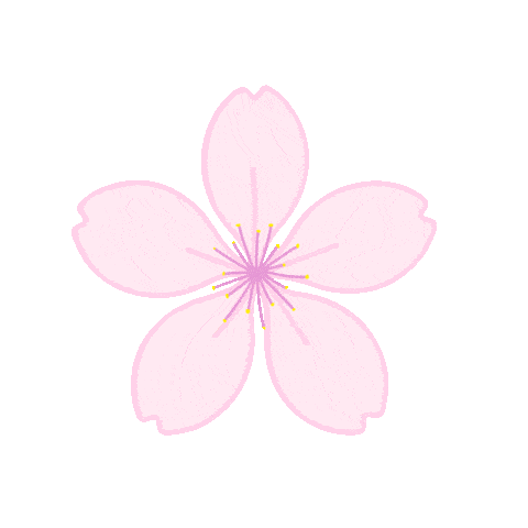 ดอกไม้ซ้ายบน